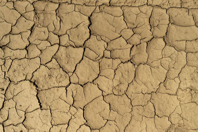 Dry and cracked land, dry due to lack of rain , effects of climate change and global warming