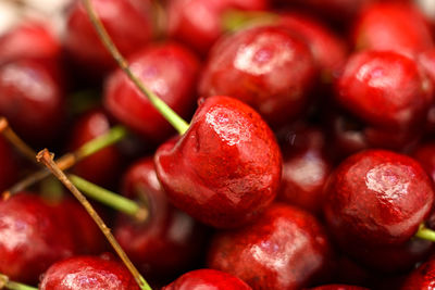 Close-up of fruits