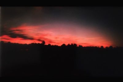 Silhouette of trees at sunset