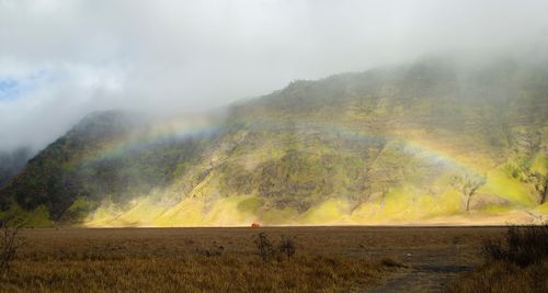 Scenic view of field against rainbow in sky