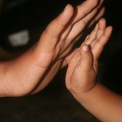 Cropped hands of parent and baby