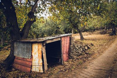 Wooden structure against trees