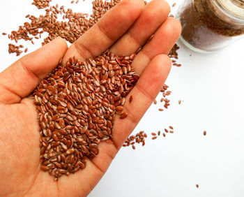 Hand holding flaxseeds