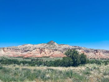 Scenic view of field against clear blue sky