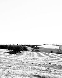 Dirt road in field