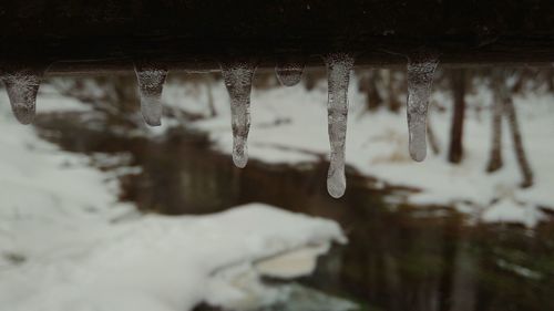 Close-up of icicles on wood against river