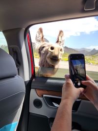 Cropped image of man photographing in car