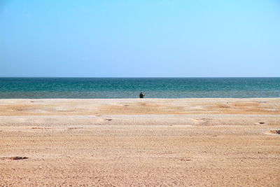 Person sitting on a chair all by themselves on a beach