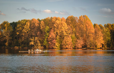 Scenic view of lake by trees during autumn