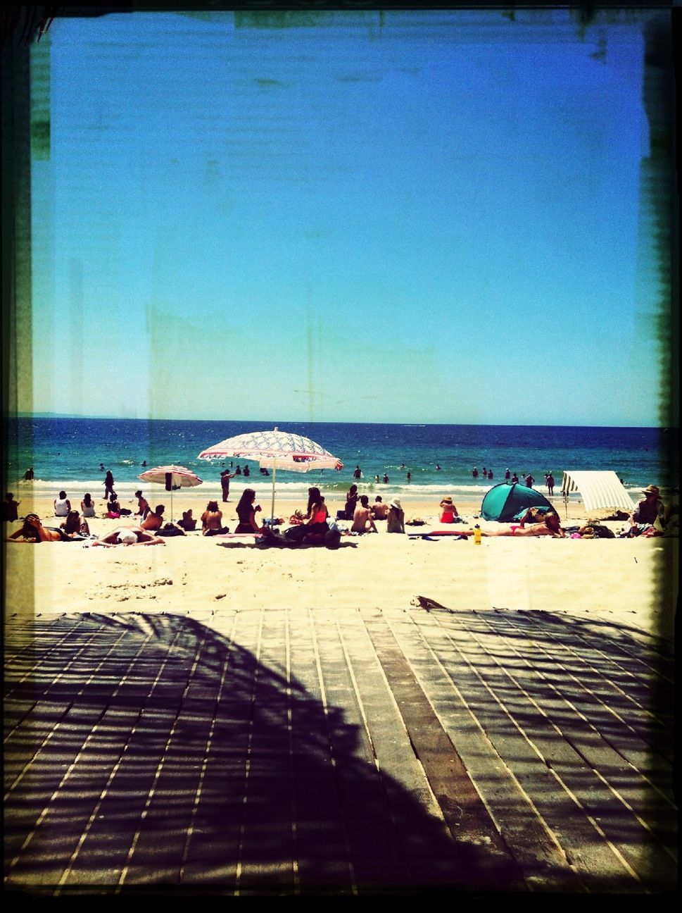 Noosa Surf Club