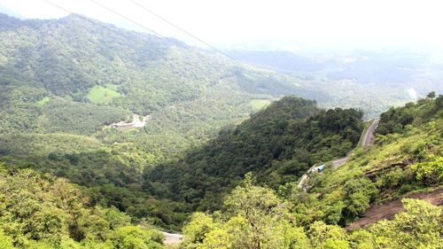 High angle view of trees in forest against sky