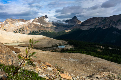 Mountain tops viewed from the iceline trail in yoho national park