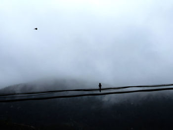 Birds perching on cable against sky