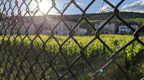 Close-up of chainlink fence against sky