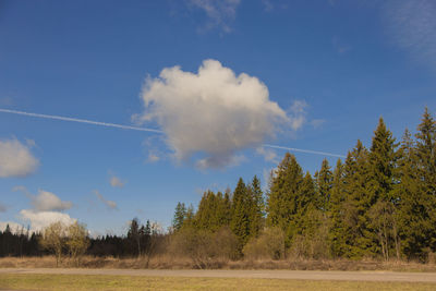 Trees on landscape against sky