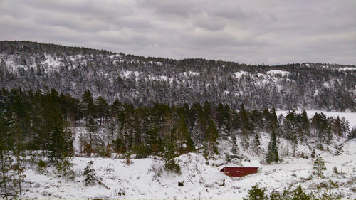 Trees on snow covered landscape against sky