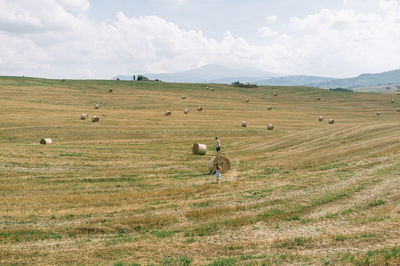 Scenic view of grassy field against sky