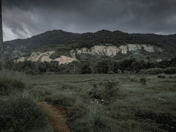 Scenic view of field against sky