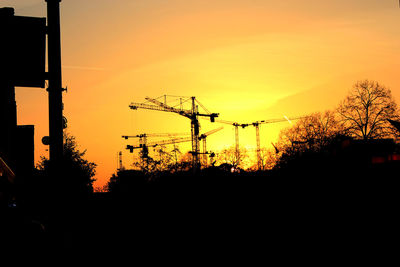 Silhouette trees at sunset