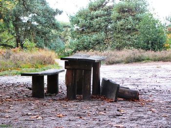 Built structure in forest