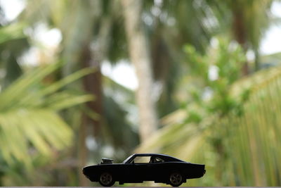 A black die cast toy car on a greenery background.