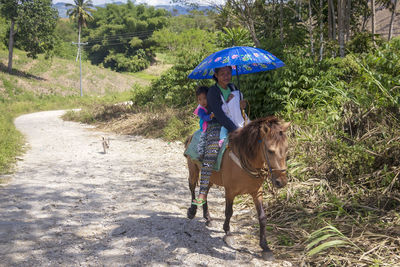 Woman with umbrella on tree