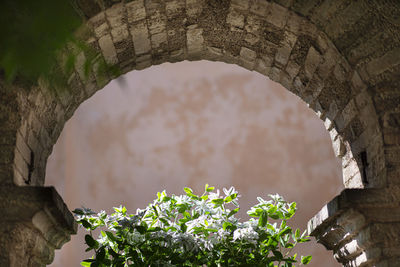 Ancient arch decorated with flowers in an italian village
