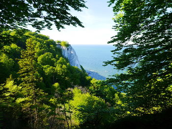 Scenic view of waterfall in forest against sky