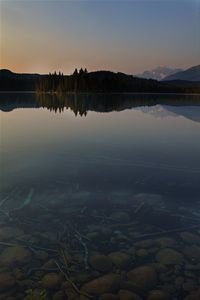 Reflection of trees in water