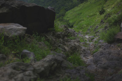 Scenic view of rock formations