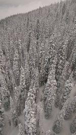 Close-up of snow against sky