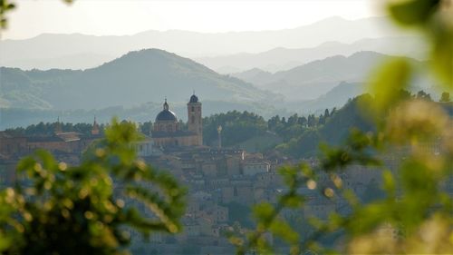 Plants and buildings against mountain range