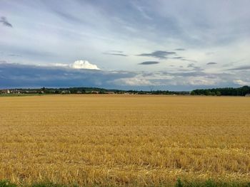 Scenic view of agricultural field against sky