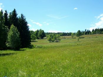 Scenic view of grassy field against cloudy sky