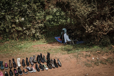 High angle view of shoes on plants against trees