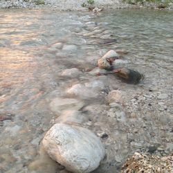 Scenic view of river