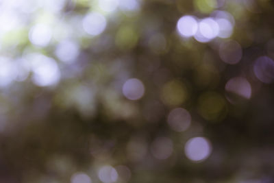 Defocused image of illuminated lights at night