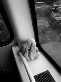 Close-up of cat on window sill