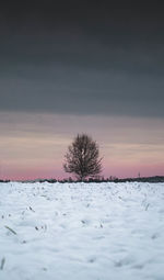 Snow covered field against sky during sunset