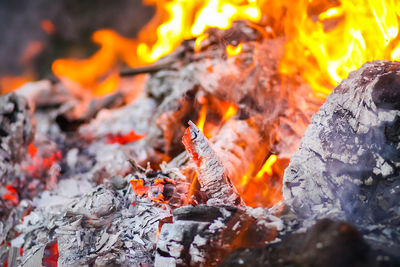 Close-up of bonfire on wood