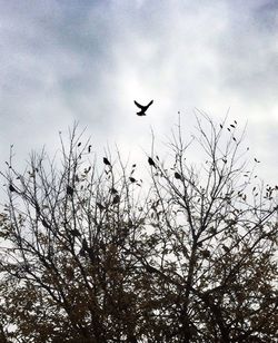 flying