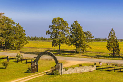 Scenic view of field against clear sky