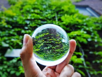 Cropped image of person holding crystal ball against plants