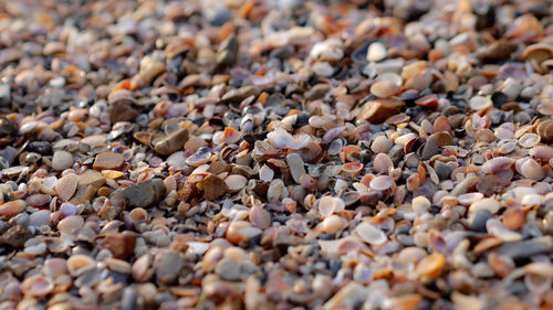 Full frame shot of pebbles