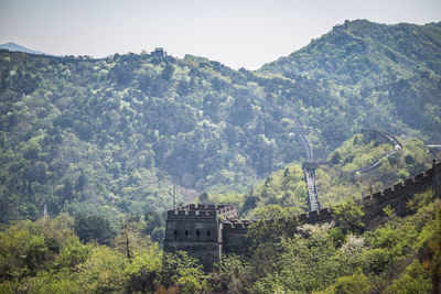Great wall of china amidst trees on mountain
