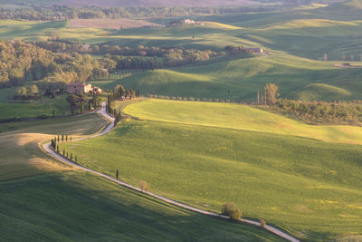 Scenic view of agricultural field