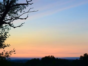 Silhouette trees against sky during sunset