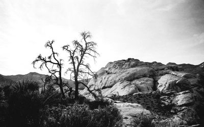 Low angle view of tree mountain against clear sky