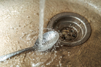 High angle view of snail in water at home