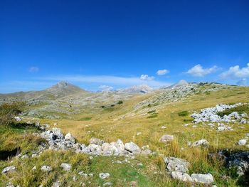 Scenic view of landscape against blue sky